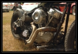 Harley - 1